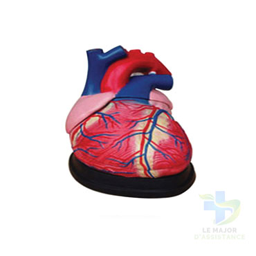 COEUR AGRANDI 4 FOIS 3 PIECES-20052022-para-pharmacie-marrakech-1653065874